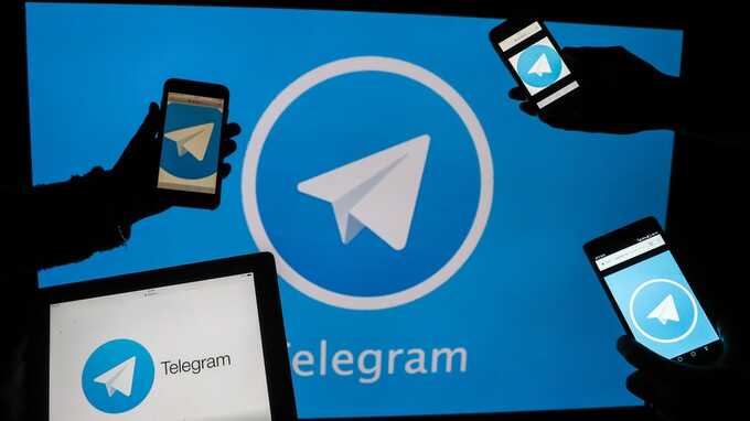     Telegram   